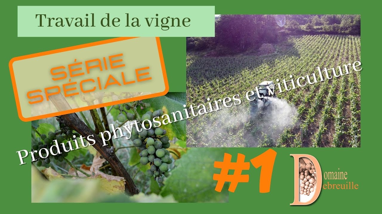D'où vient l'utilisation des produits phytosanitaires / pesticides ?