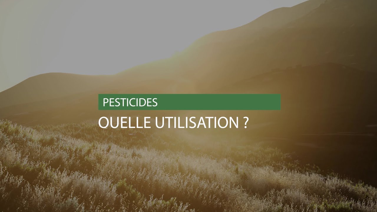 Les pesticides : utilisation dans l’agriculture conventionnelle