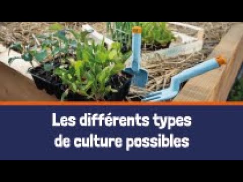 Les différents types de culture possibles