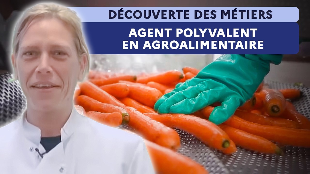 Agent polyvalent en agroalimentaire : préparer et conditionner les marchandises
