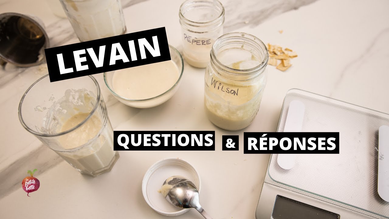 LEVAIN - QUESTIONS & RÉPONSES 🥖 Levain : Pain, Quoi, Comment, Recettes, Tuto La petite bette