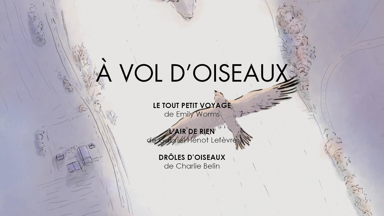 À vol d'oiseaux (2023) - Bande annonce HD