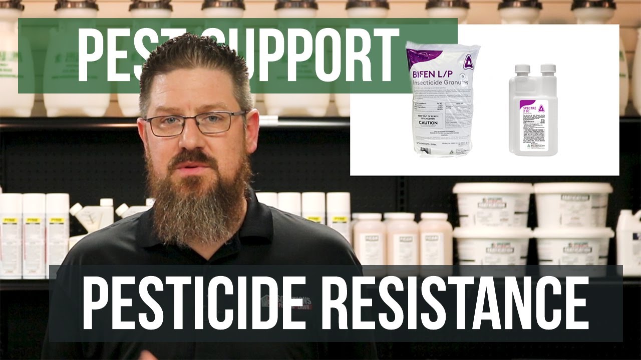 Can Bugs Build Up A Resistance To Pesticides? | Pest Support