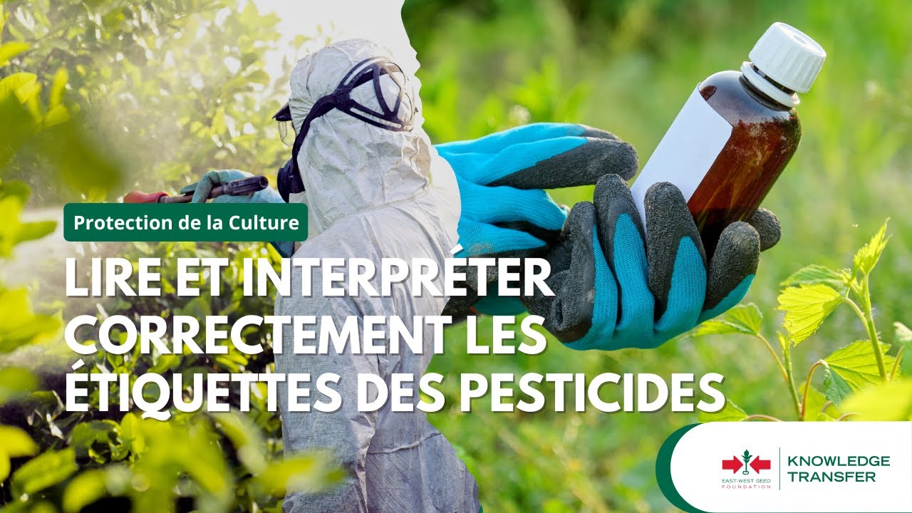 Protection de la culture partie 3 - Lire et interpréter correctement les étiquettes des pesticides