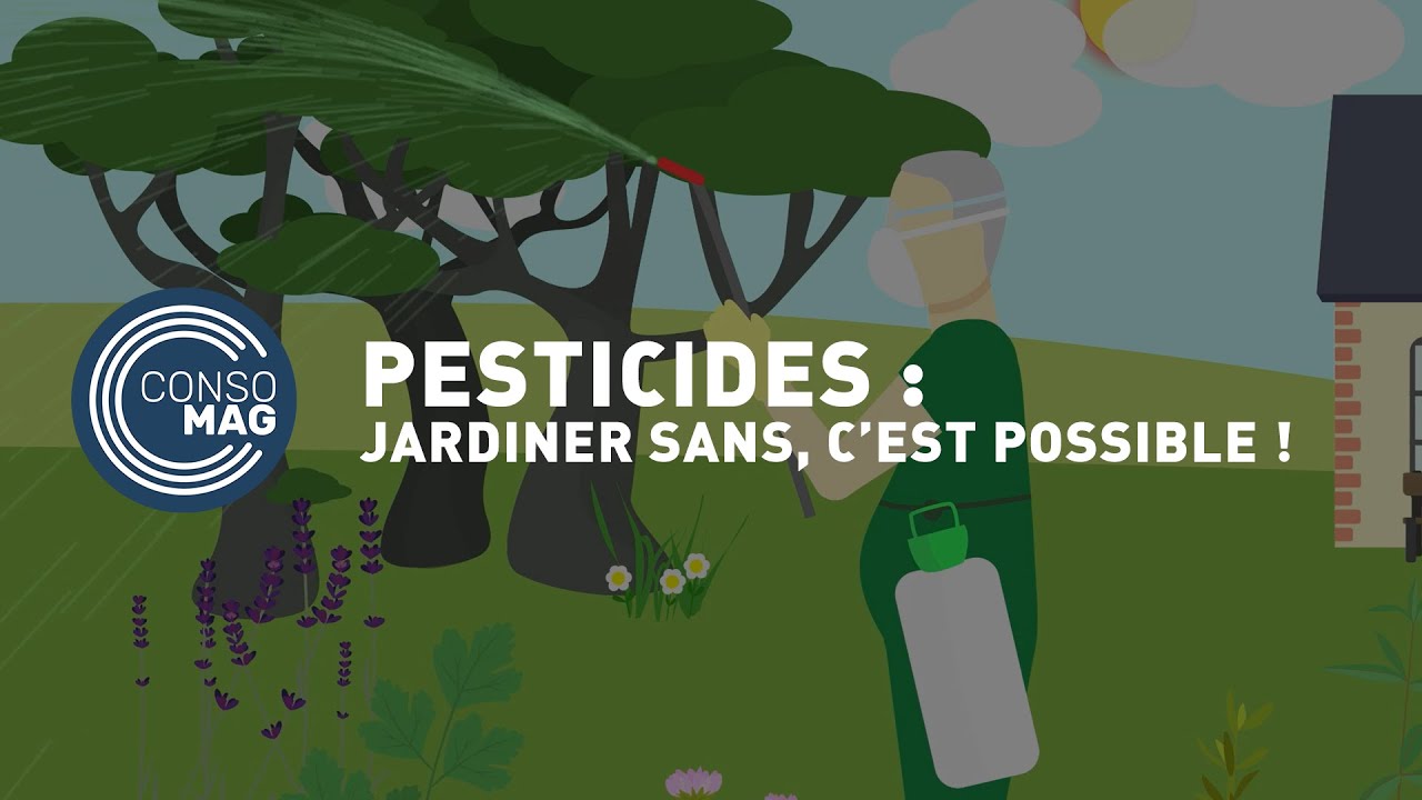 Pesticides : jardiner sans, c'est possible ! #CONSOMAG