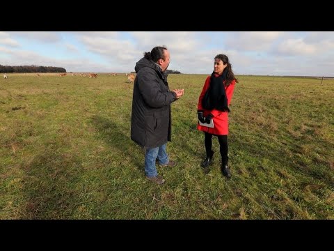 Europe : vers une agriculture sans pesticides, ni OGM ? (partie 1)