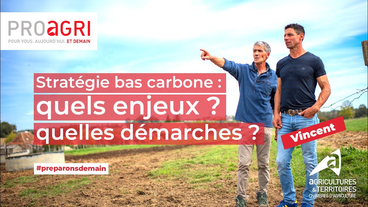 Campagne Transitions - Stratégie bas carbone : Quels enjeux et quelles démarches ❓
