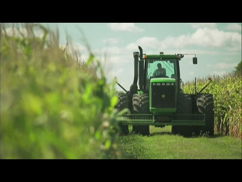 Agriculture sans pesticides : le champ des possibles