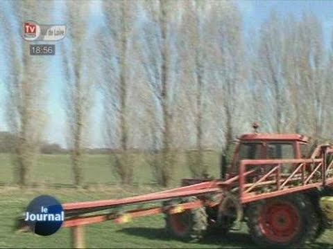 Ecologie : Quelles alternatives aux pesticides ?