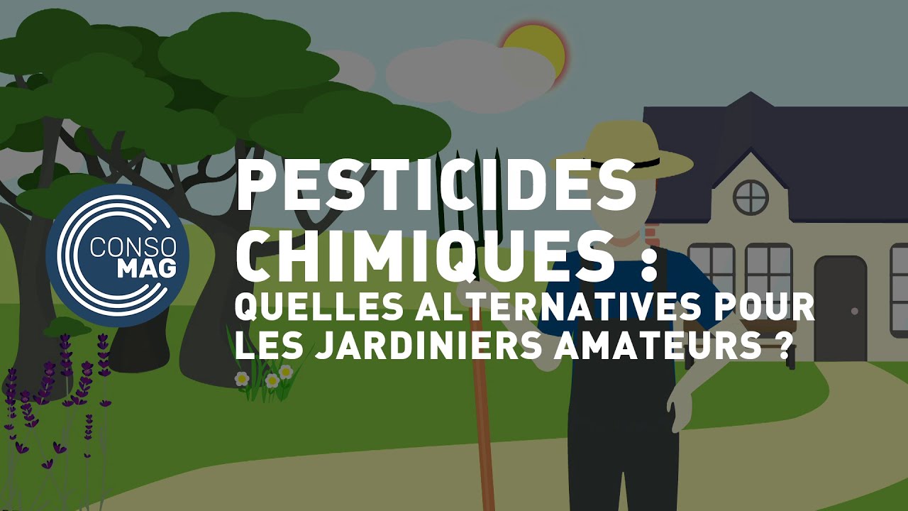 Pesticides chimiques : quelles les alternatives pour les jardiniers amateurs ? #CONSOMAG