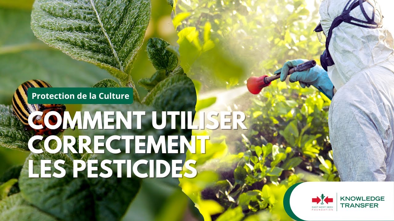 Protection de la culture partie 5 - Comment utiliser correctement les pesticides