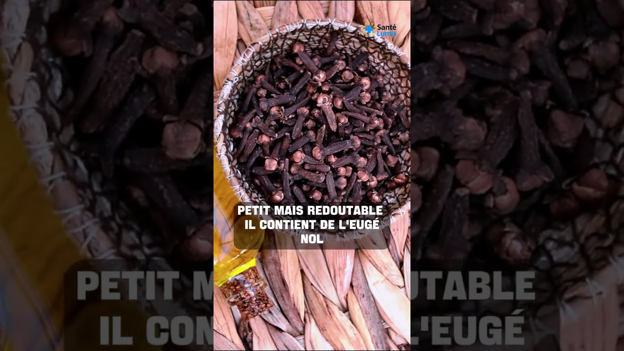 Le clou de girofle : le tueur naturel de parasites que tout le monde oublie !