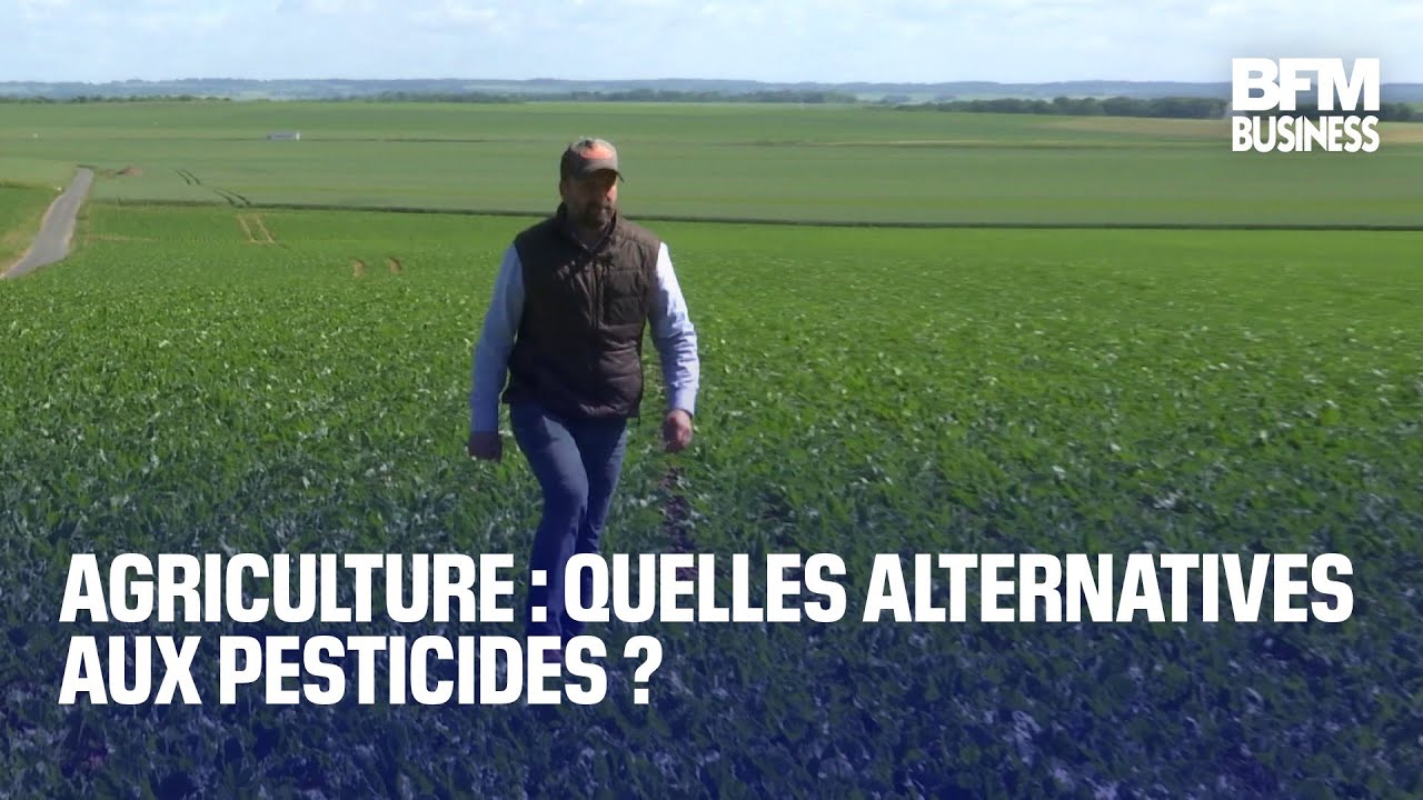 Agriculture : quelles alternatives aux pesticides ?