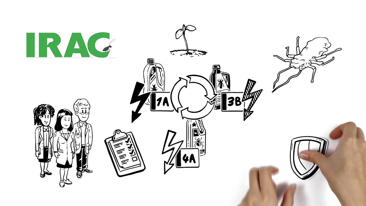 (French) Insecticide Resistance Management from IRAC