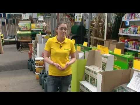 Alternatives aux pesticides dans les jardineries - France 3