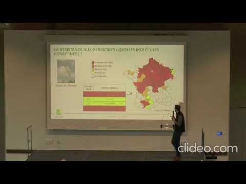Comment optimiser la gestion des adventices résistantes aux herbicides ?