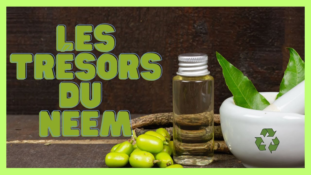 Le NEEM : recettes de pesticide et fertilisant