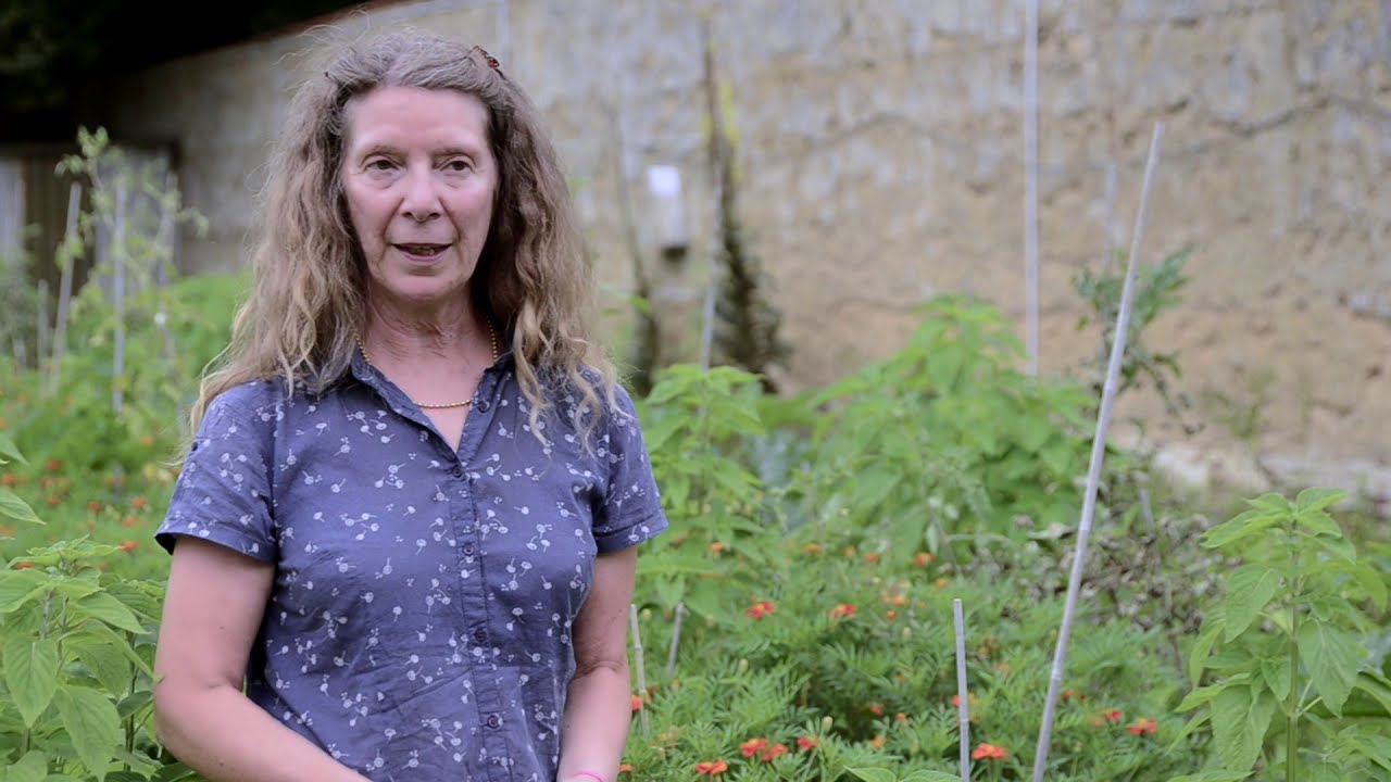 Avec ou sans pesticides