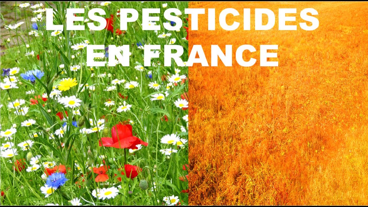 LES PESTICIDES EN FRANCE - 2021 -Effets, quantités, redevances, données sur les achats de pesticides