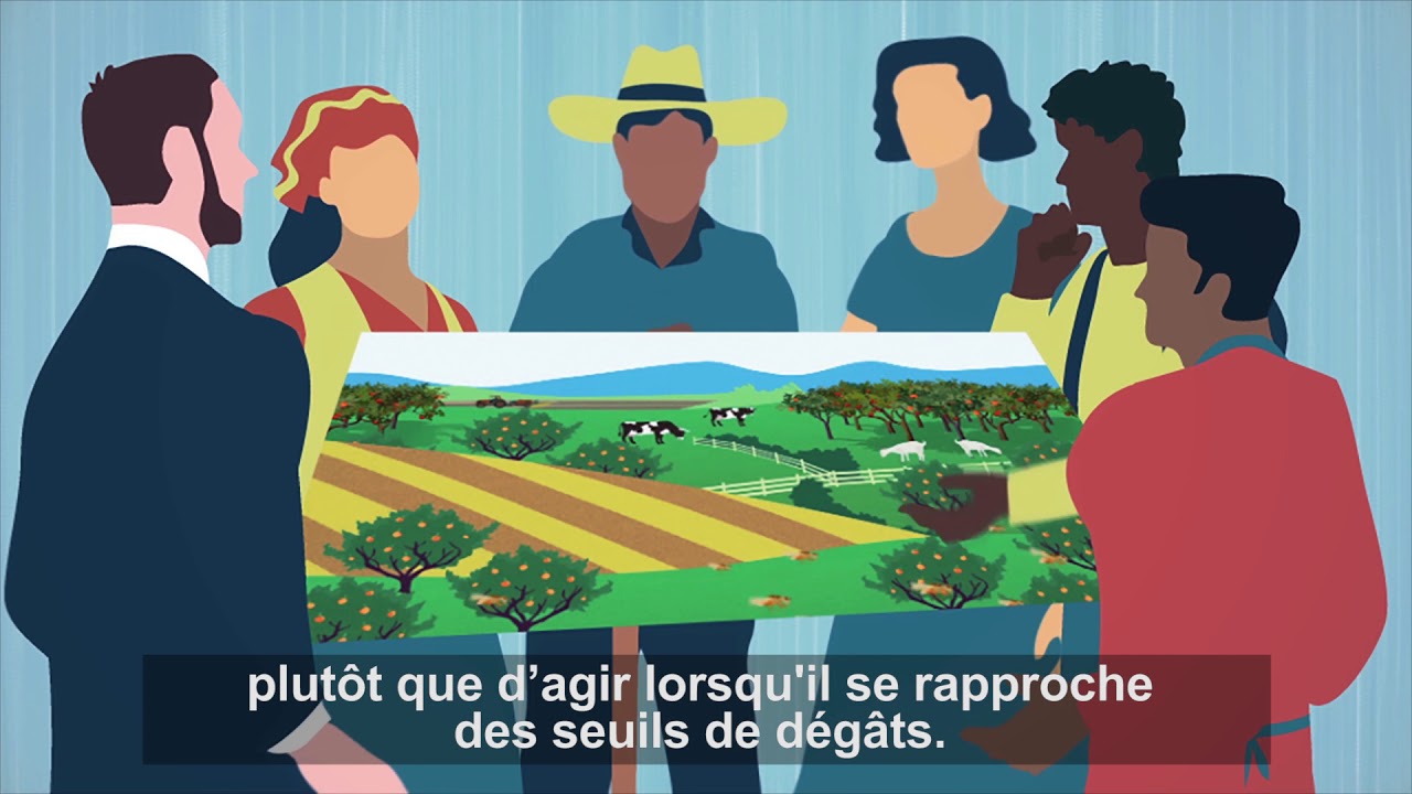 Gestion intégrée des ravageurs à l’échelle d’une zone (GIREZ)