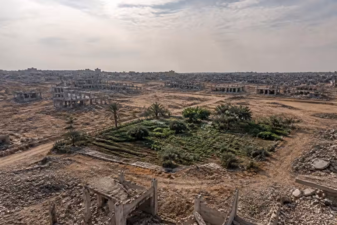 découvrez comment la disponibilité des terres agricoles dans la bande de gaza est réduite à seulement 3 %, mettant en péril l'agriculture locale et la sécurité alimentaire.