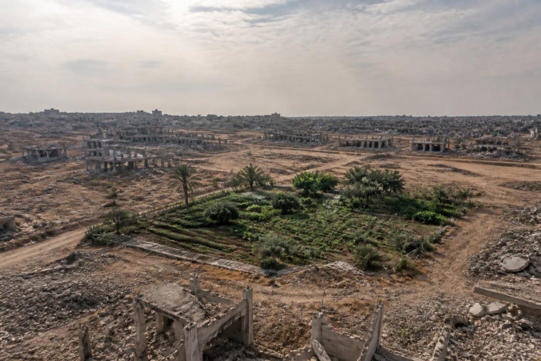 découvrez comment la disponibilité des terres agricoles dans la bande de gaza est réduite à seulement 3 %, mettant en péril l'agriculture locale et la sécurité alimentaire.