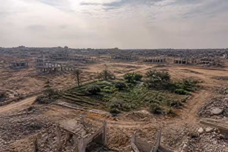 découvrez comment la disponibilité des terres agricoles dans la bande de gaza est réduite à seulement 3 %, mettant en péril l'agriculture locale et la sécurité alimentaire.