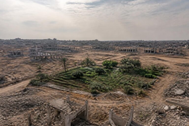 découvrez comment la disponibilité des terres agricoles dans la bande de gaza est réduite à seulement 3 %, mettant en péril l'agriculture locale et la sécurité alimentaire.