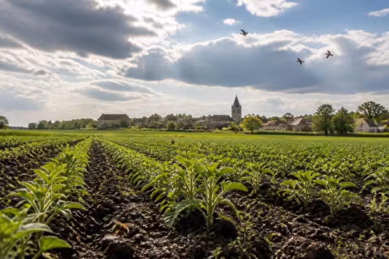 découvrez les prévisions météorologiques agricoles actuelles à loivre pour mieux planifier vos activités et optimiser vos récoltes.