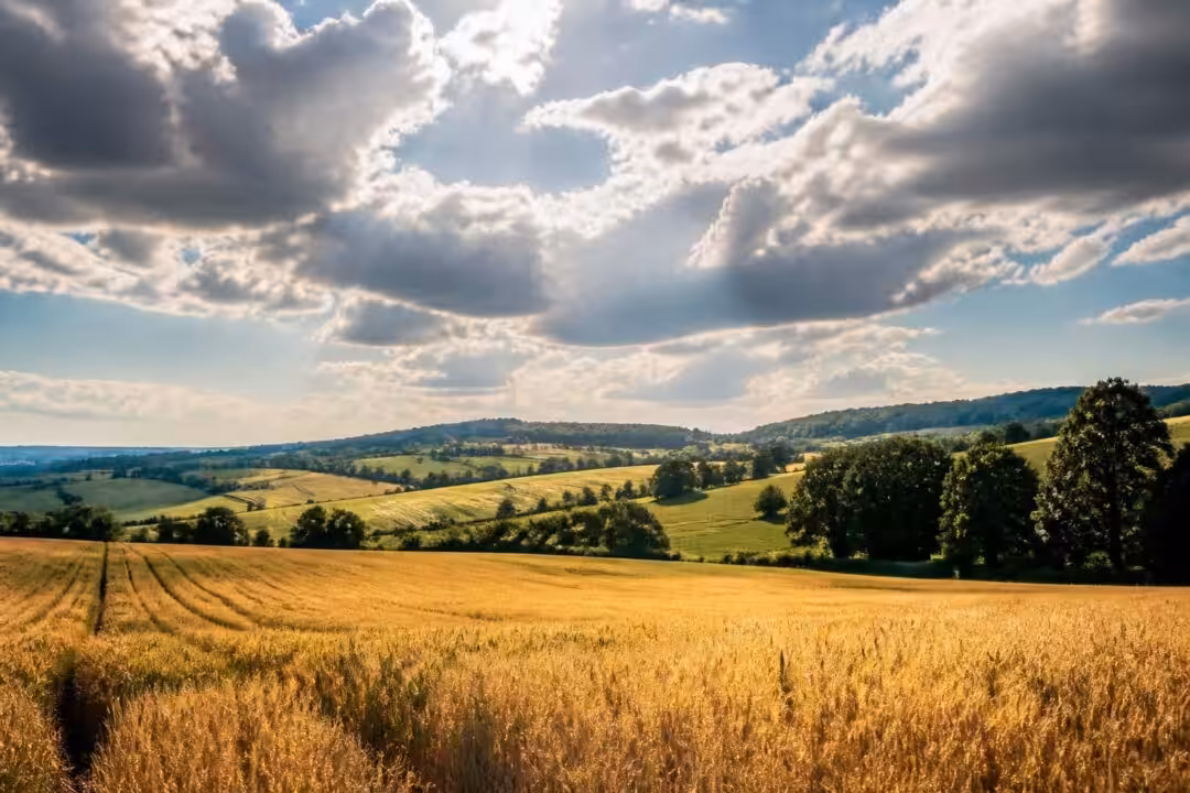 consultez les dernières prévisions météorologiques agricoles à pontvallain pour optimiser vos travaux agricoles et planifier au mieux vos cultures.