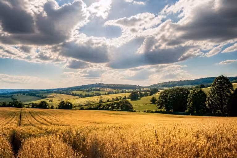 consultez les dernières prévisions météorologiques agricoles à pontvallain pour optimiser vos travaux agricoles et planifier au mieux vos cultures.