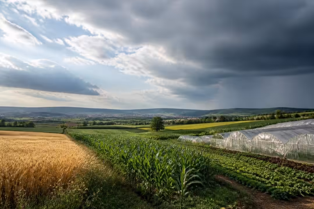 consultez les prévisions météorologiques agricoles à saverne pour le mois à venir afin d'optimiser vos cultures et planifier vos travaux agricoles en toute sérénité.